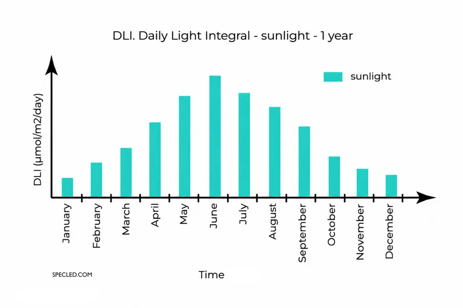 Changes in DLI levels during the year