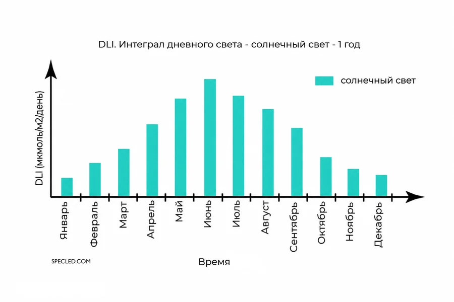 Изменение уровня DLI в течении года