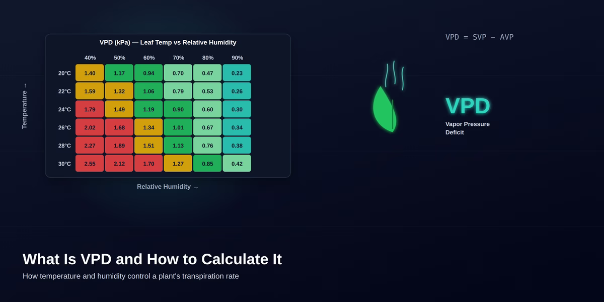 What is VPD (Vapor Pressure Deficit) and How to Calculate It? VPD Calculator